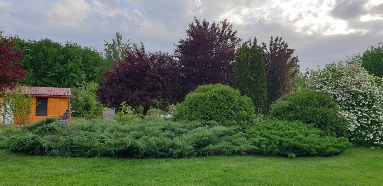 Roszke Dobo Tanya 빌라 외부 사진